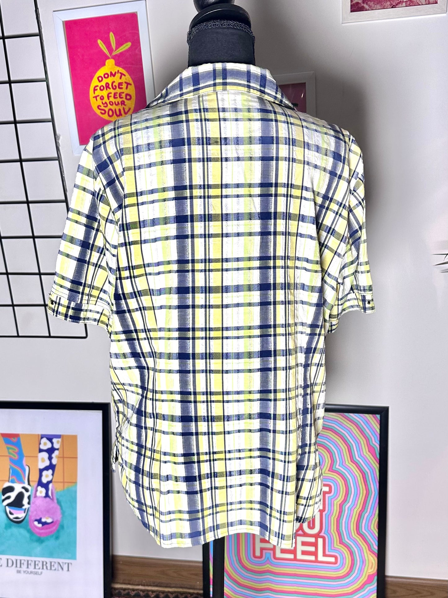 Checked Shirt (X Large)