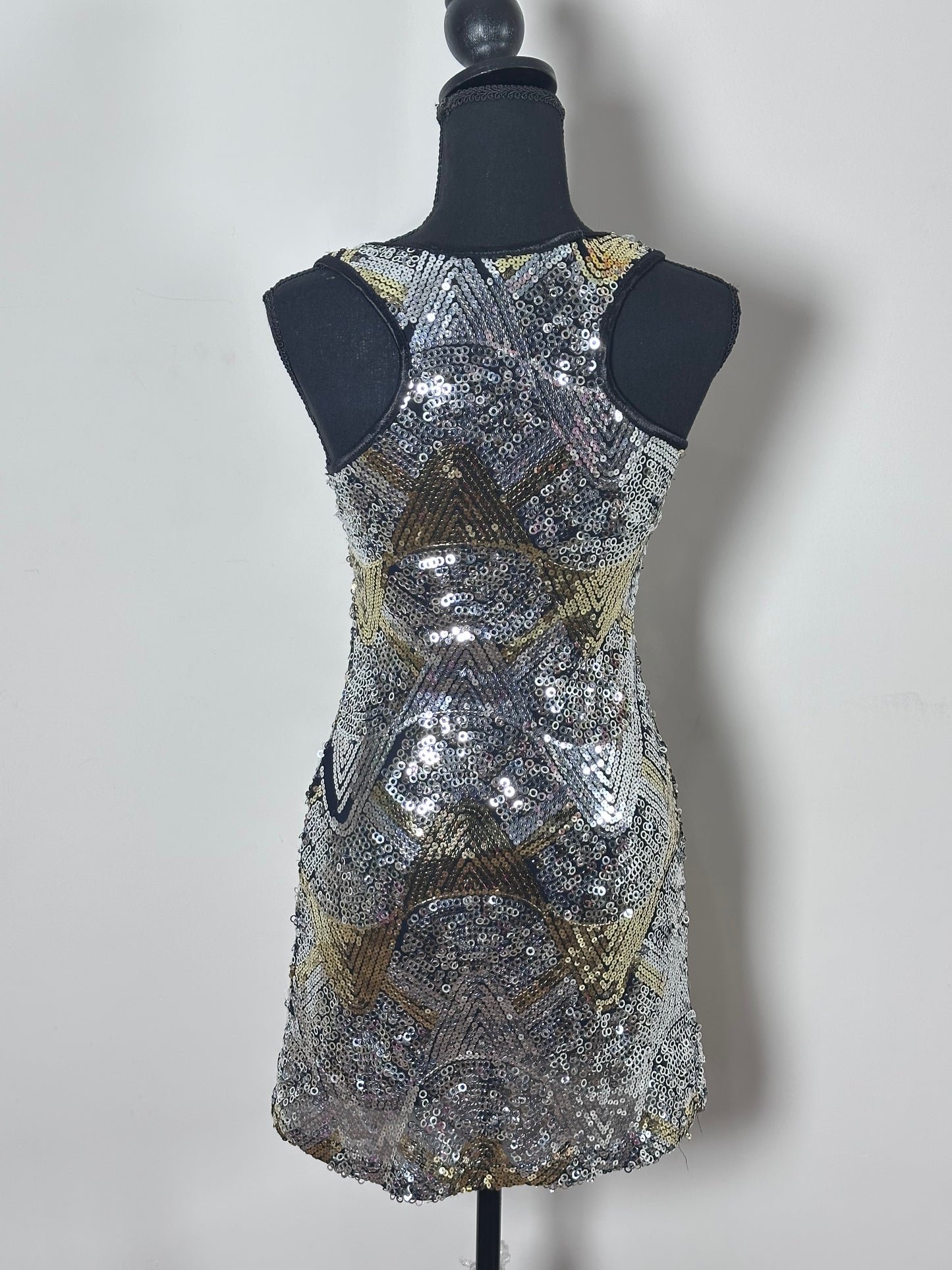 Gold & Silver Dress (Medium)