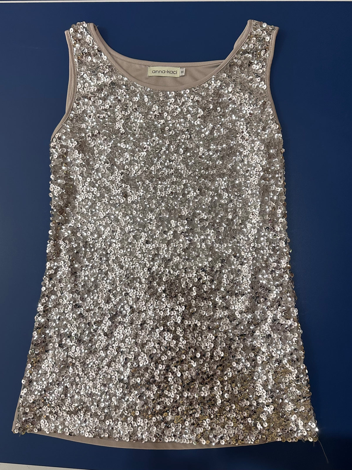 Silver Sequin Top (Large)