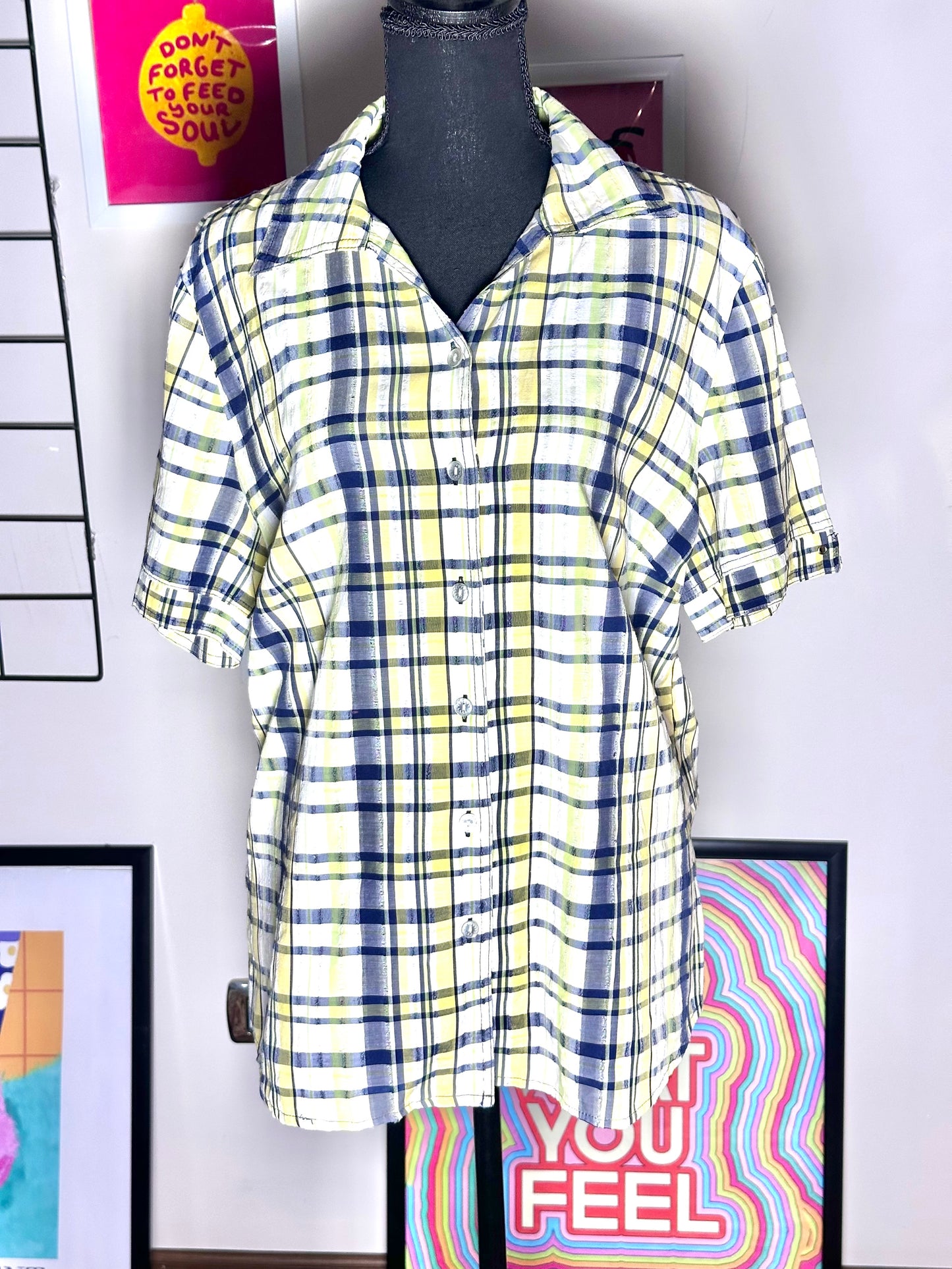 Checked Shirt (X Large)