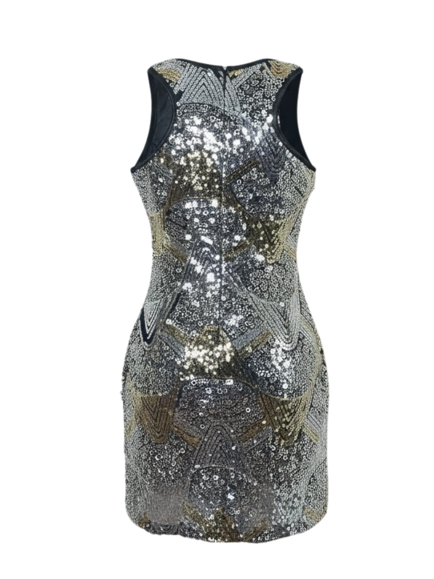 Gold & Silver Dress (Medium)