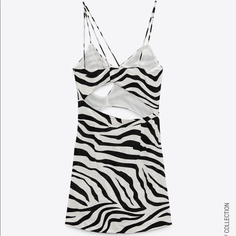 Zebra Cut Out Dress - Zara